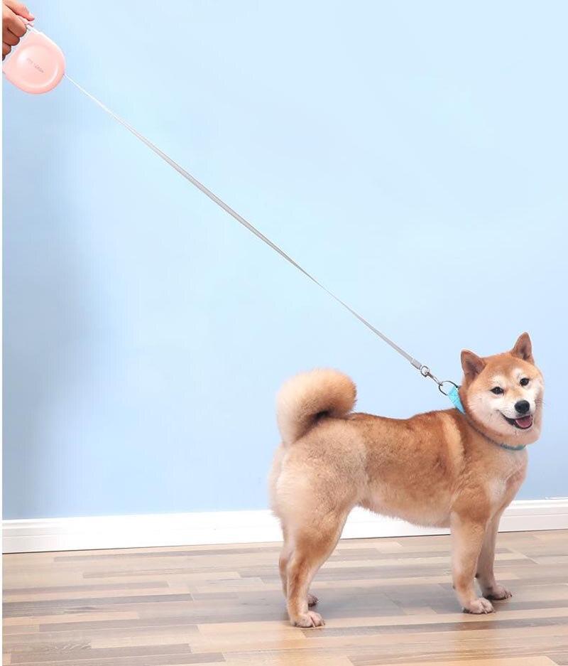 Retractable Pet Outdoor Walking Leash