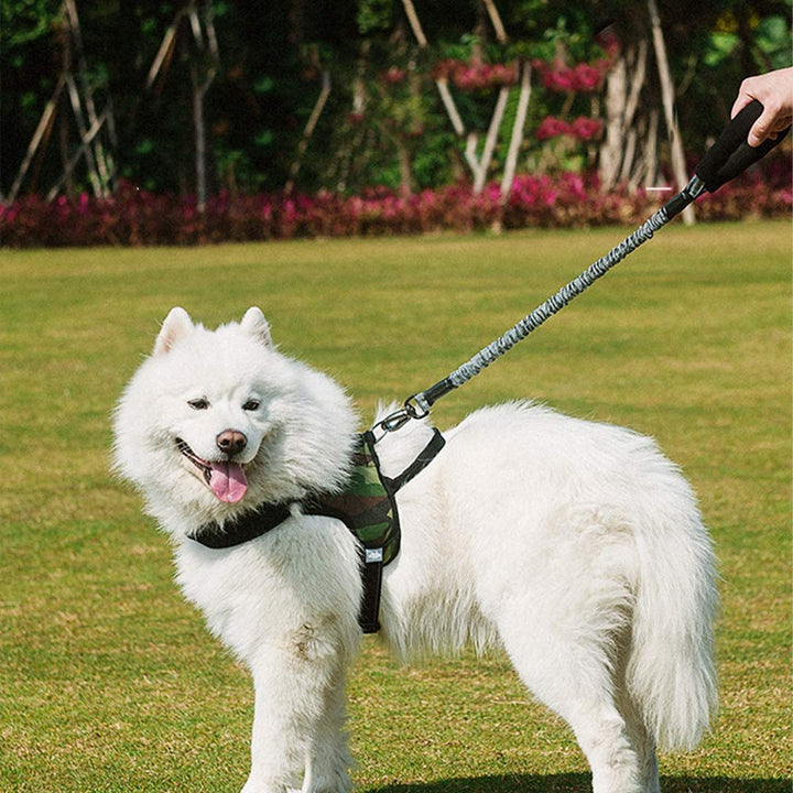 Outdoor Pet Walking Nylon Pet Dog Leash