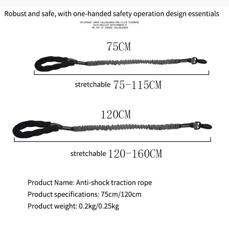 Outdoor Pet Walking Nylon Pet Dog Leash