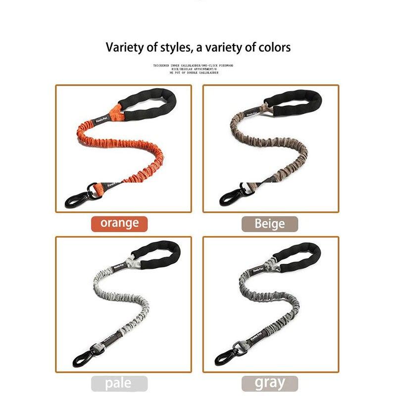 Outdoor Pet Walking Nylon Pet Dog Leash