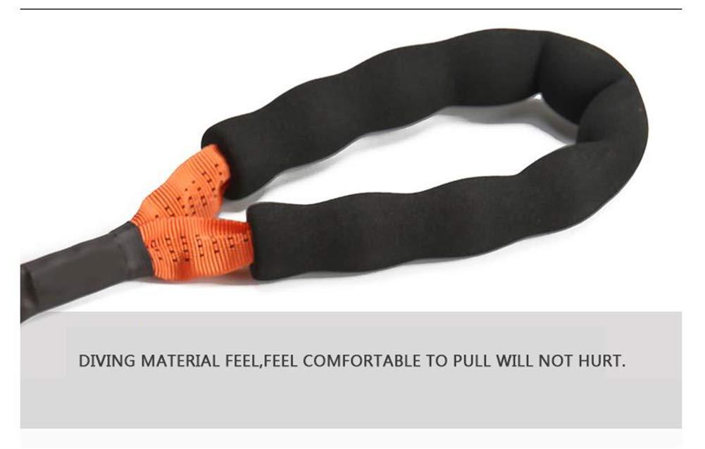 Outdoor Pet Walking Nylon Pet Dog Leash