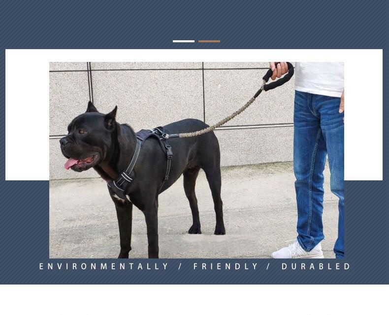 Outdoor Pet Walking Nylon Pet Dog Leash