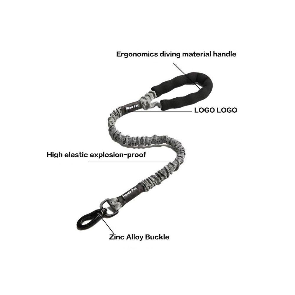 Outdoor Pet Walking Nylon Pet Dog Leash