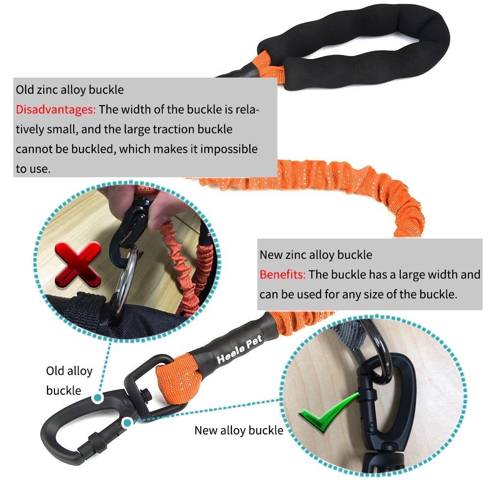 Outdoor Pet Walking Nylon Pet Dog Leash