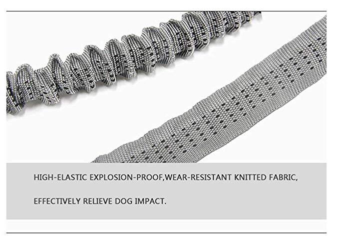 Outdoor Pet Walking Nylon Pet Dog Leash