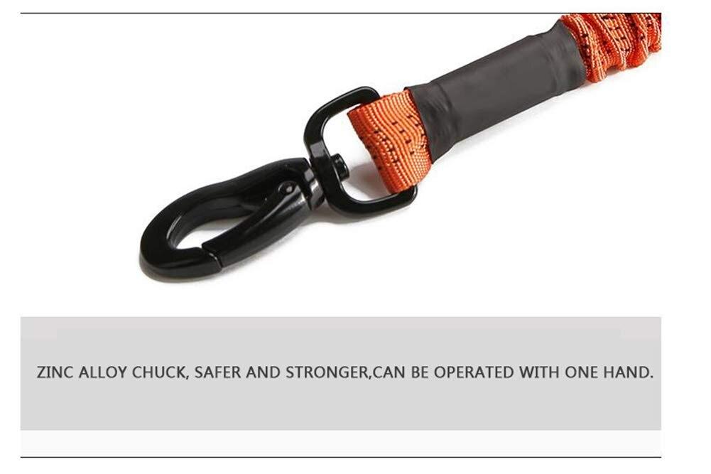 Outdoor Pet Walking Nylon Pet Dog Leash