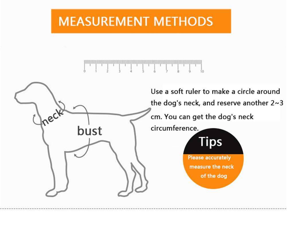 Outdoor Pet Walking Nylon Pet Dog Leash