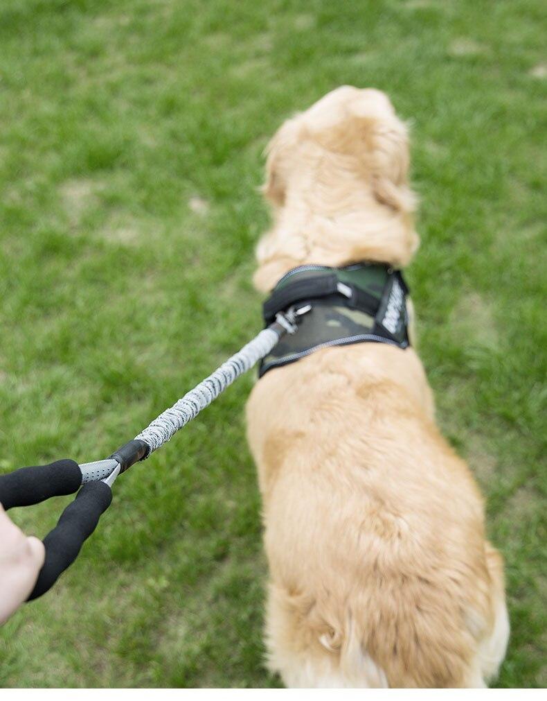 Outdoor Pet Walking Nylon Pet Dog Leash