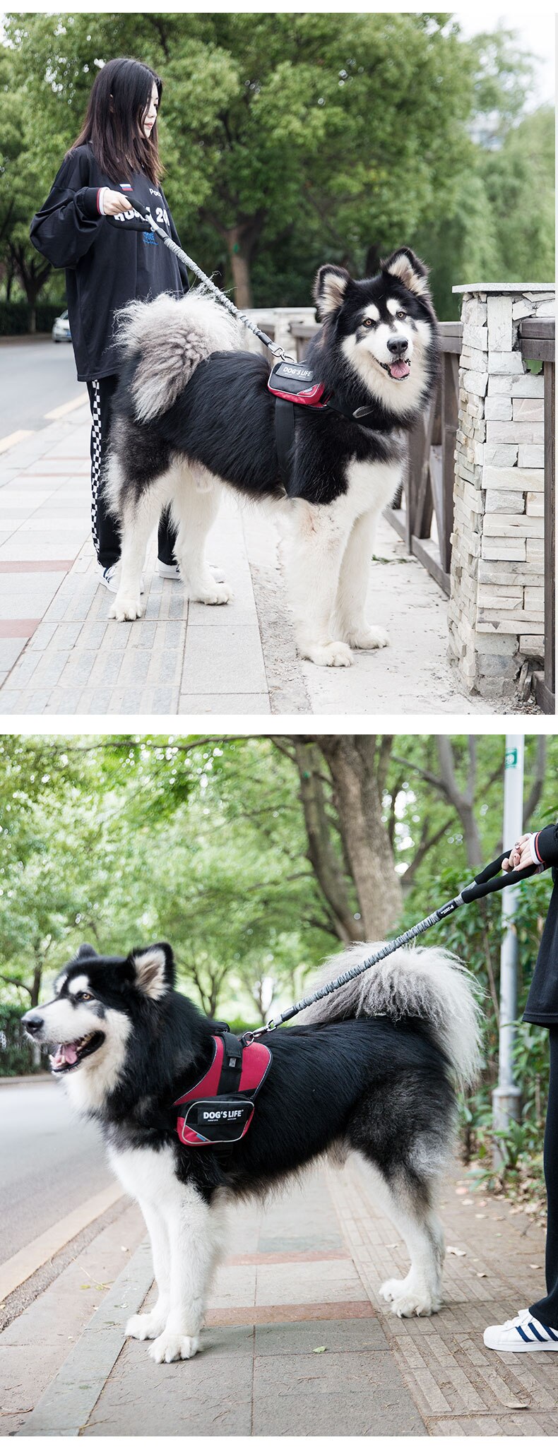 Outdoor Pet Walking Nylon Pet Dog Leash