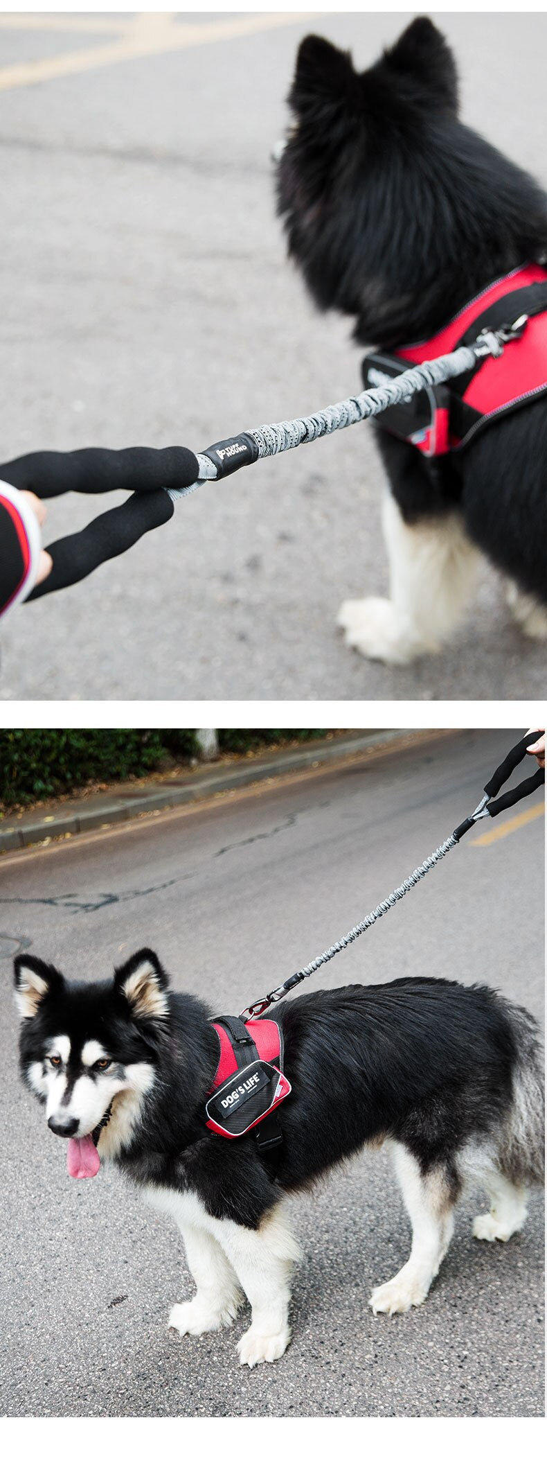 Outdoor Pet Walking Nylon Pet Dog Leash