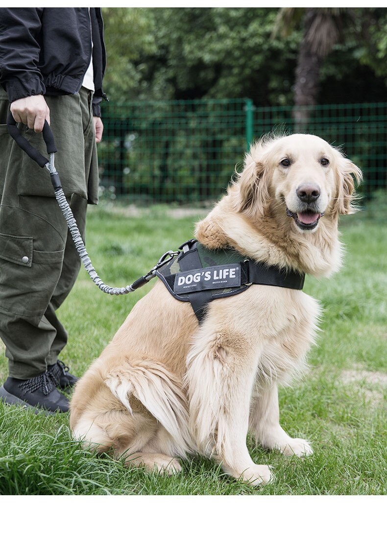 Outdoor Pet Walking Nylon Pet Dog Leash