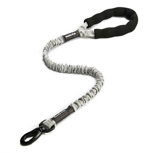 Outdoor Pet Walking Nylon Pet Dog Leash