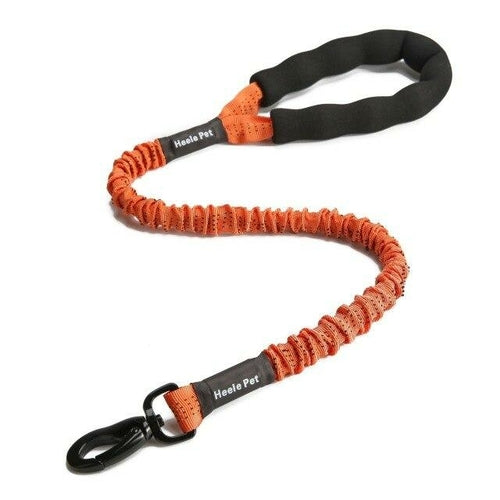 Outdoor Pet Walking Nylon Pet Dog Leash