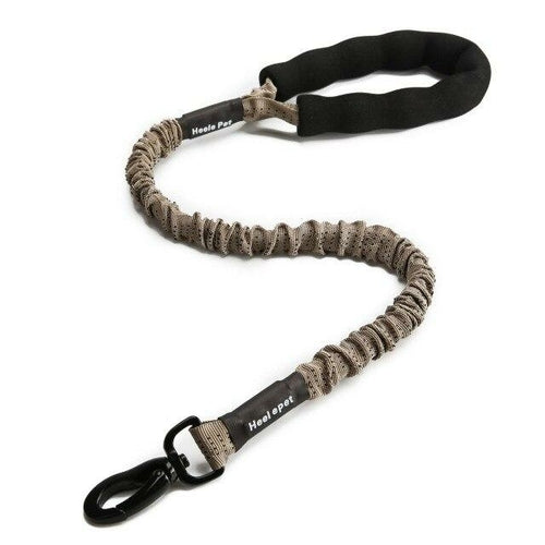 Outdoor Pet Walking Nylon Pet Dog Leash