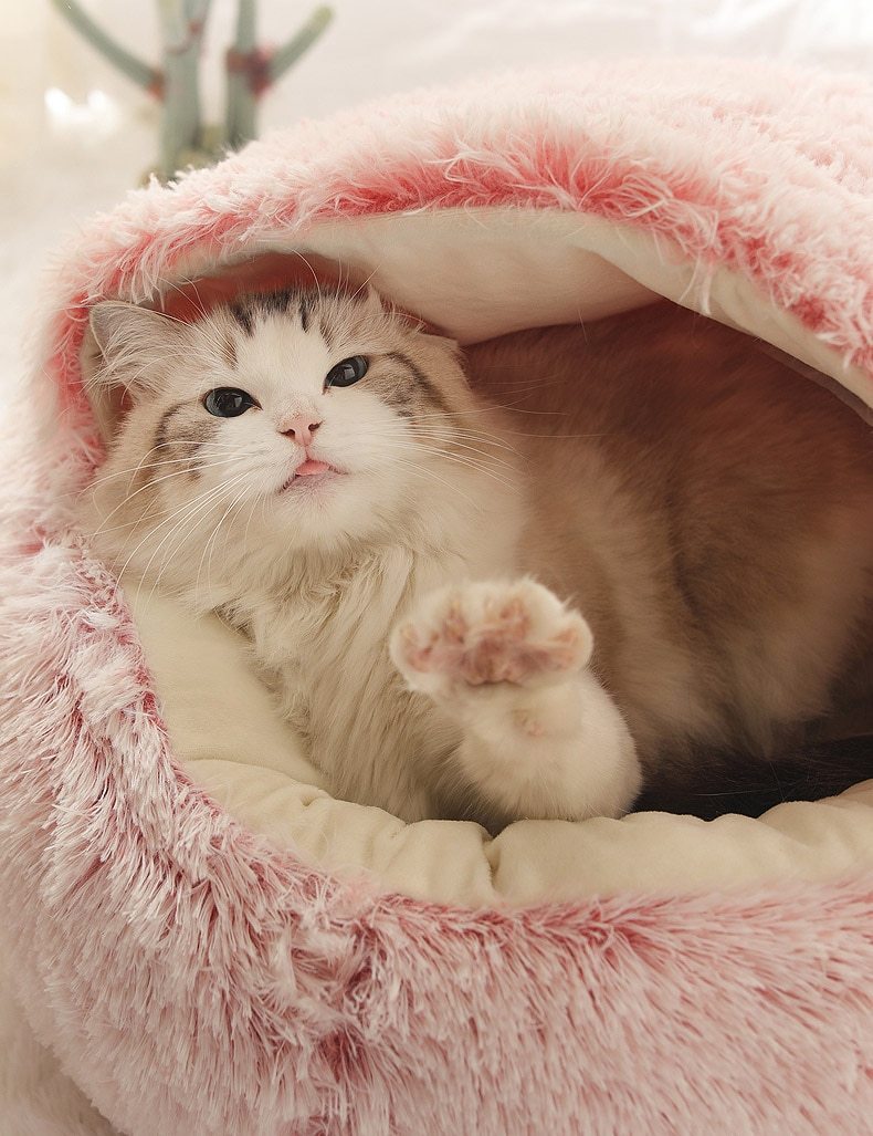 Hot Plush Round Cat Bed