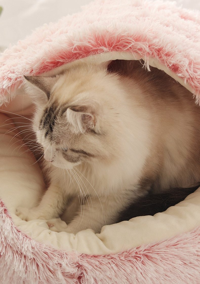 Hot Plush Round Cat Bed