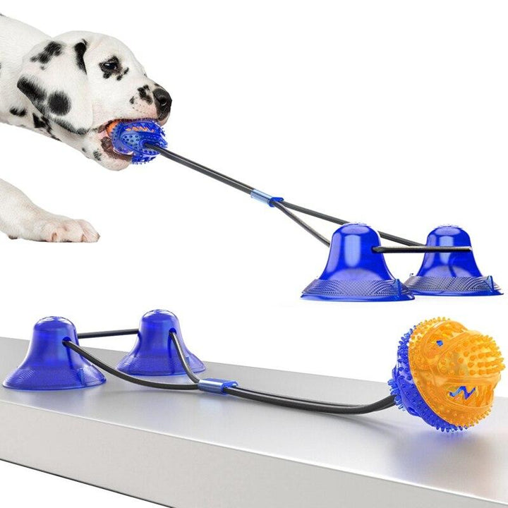 Interactive Pet Training Suction Cup Push Ball Toys