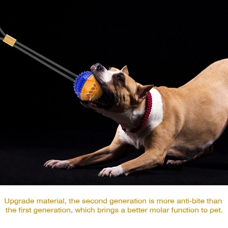 Interactive Pet Training Suction Cup Push Ball Toys