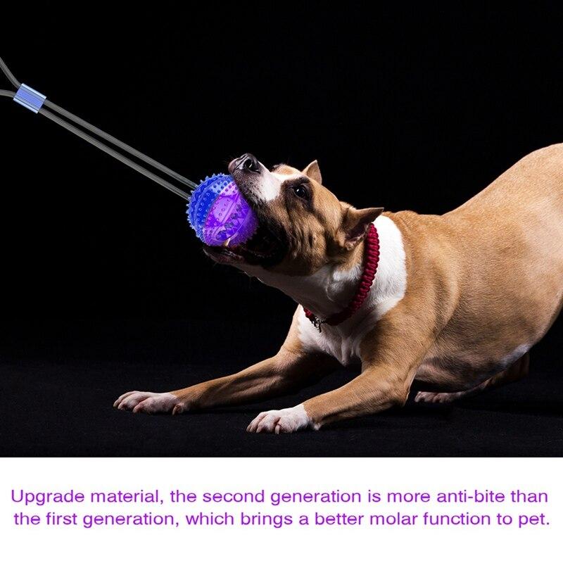 Interactive Pet Training Suction Cup Push Ball Toys