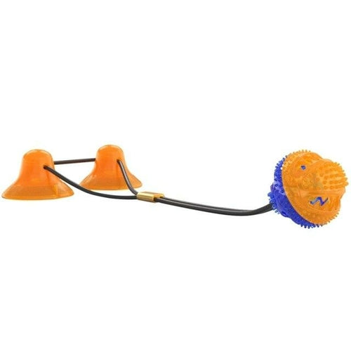 Interactive Pet Training Suction Cup Push Ball Toys