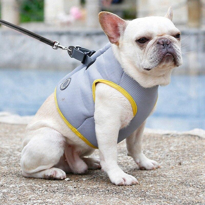 Dog Harness and Leash Set