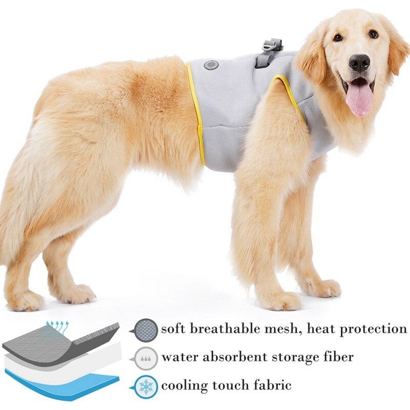 Dog Harness and Leash Set