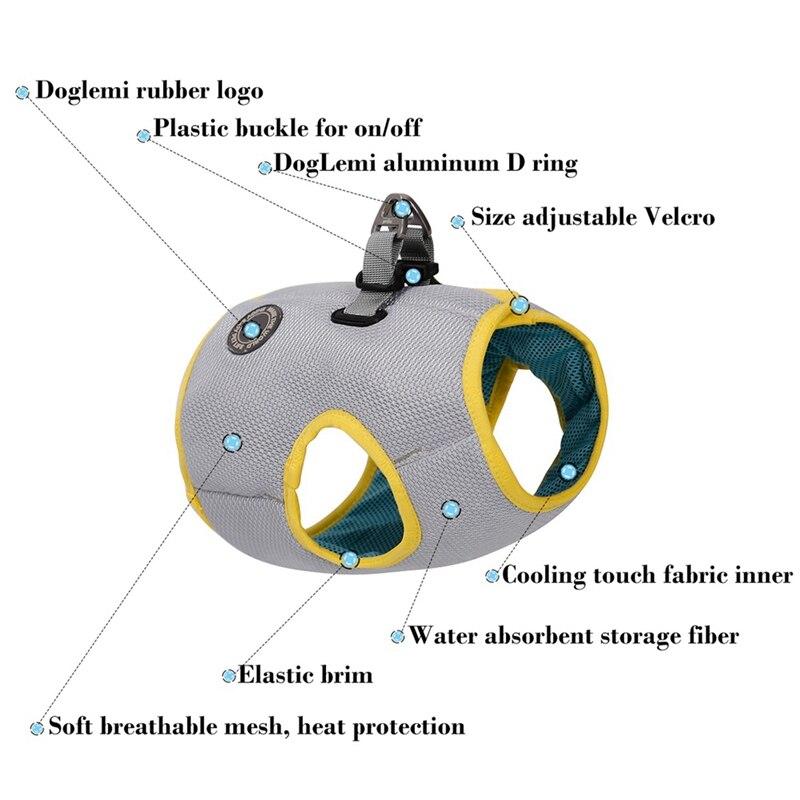 Dog Harness and Leash Set