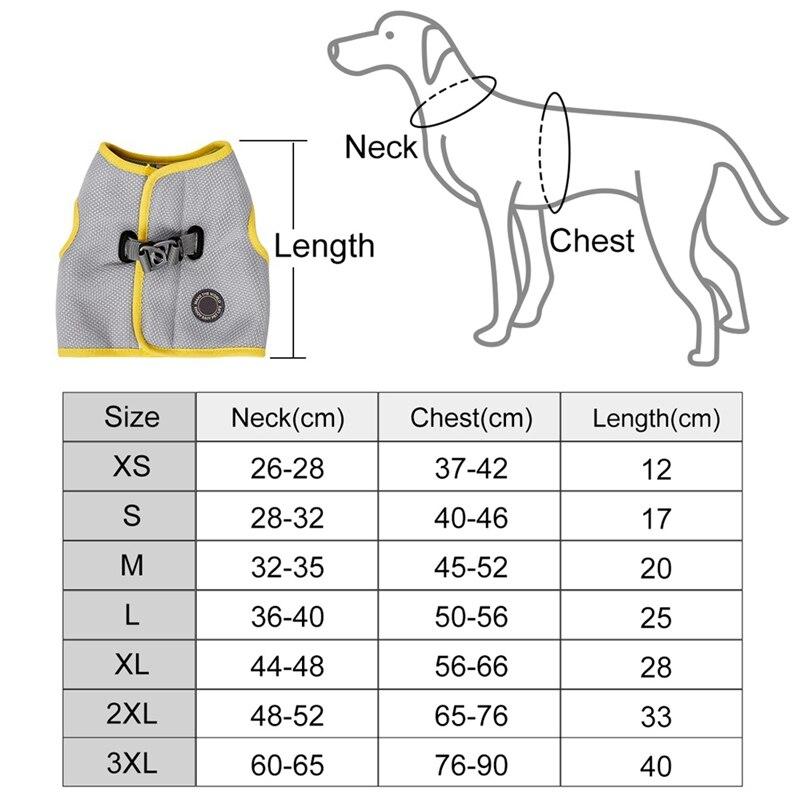 Dog Harness and Leash Set