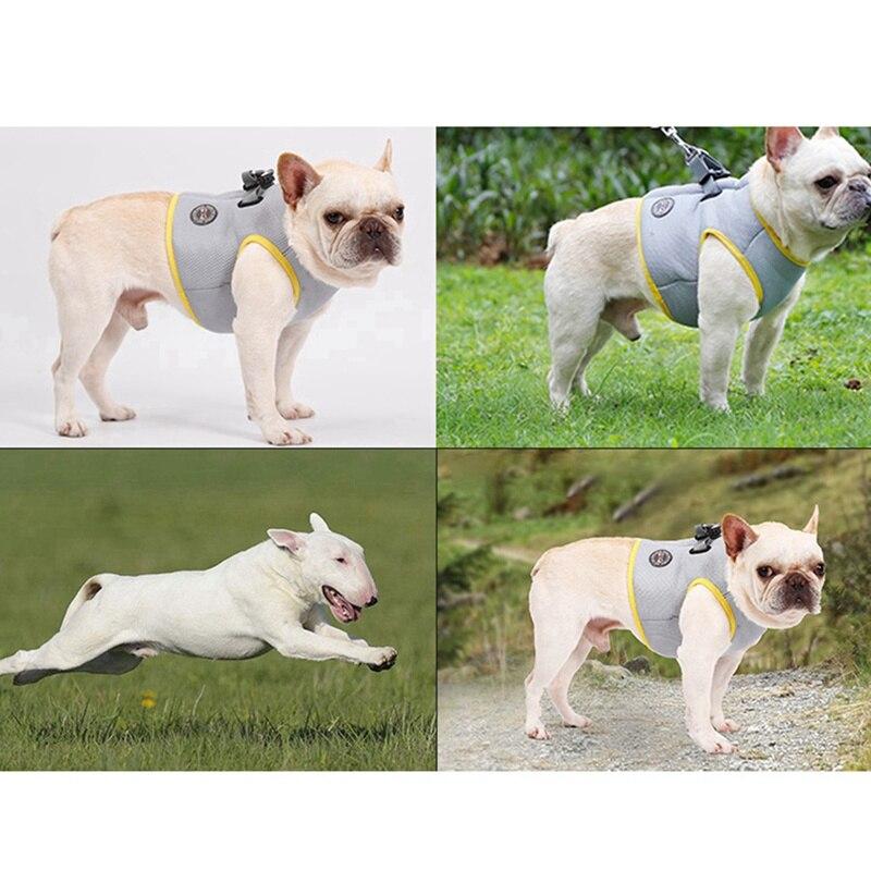 Dog Harness and Leash Set