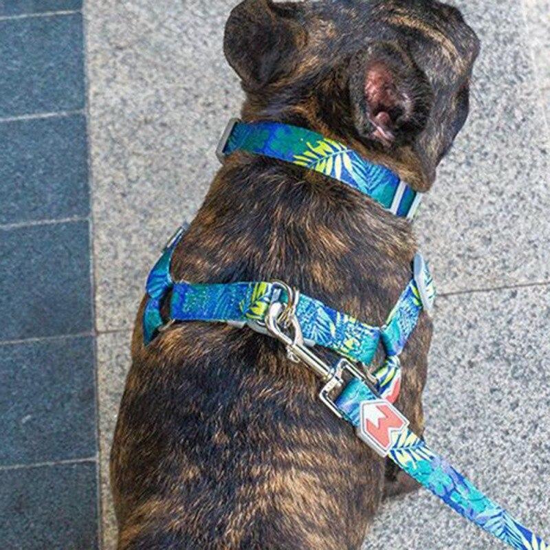 Adjustable Nylon Pet Traction Cat Dog