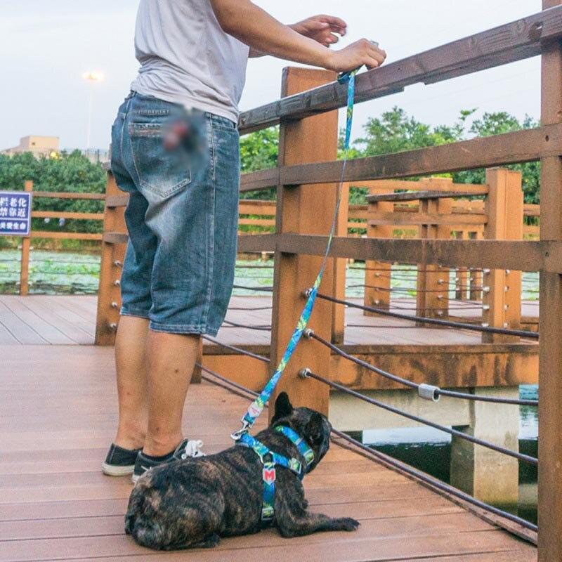 Adjustable Nylon Pet Traction Cat Dog