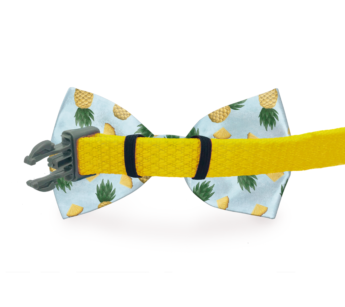 Preppy Pet Floral Dog Bow Tie Leash